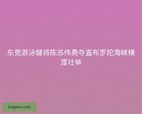 东莞游泳健将陈苏伟勇夺直布罗陀海峡横渡壮举